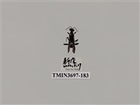 藏品(膜翅目(蜂))的圖片